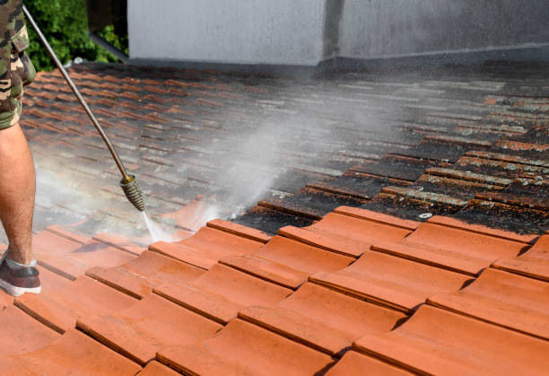 Best Exterior Home Cleaning  in Gary, IN