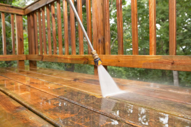 Best Roof Pressure Washing  in Gary, IN