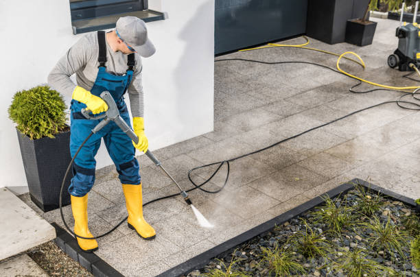 Best Roof Power Washing Services  in Gary, IN